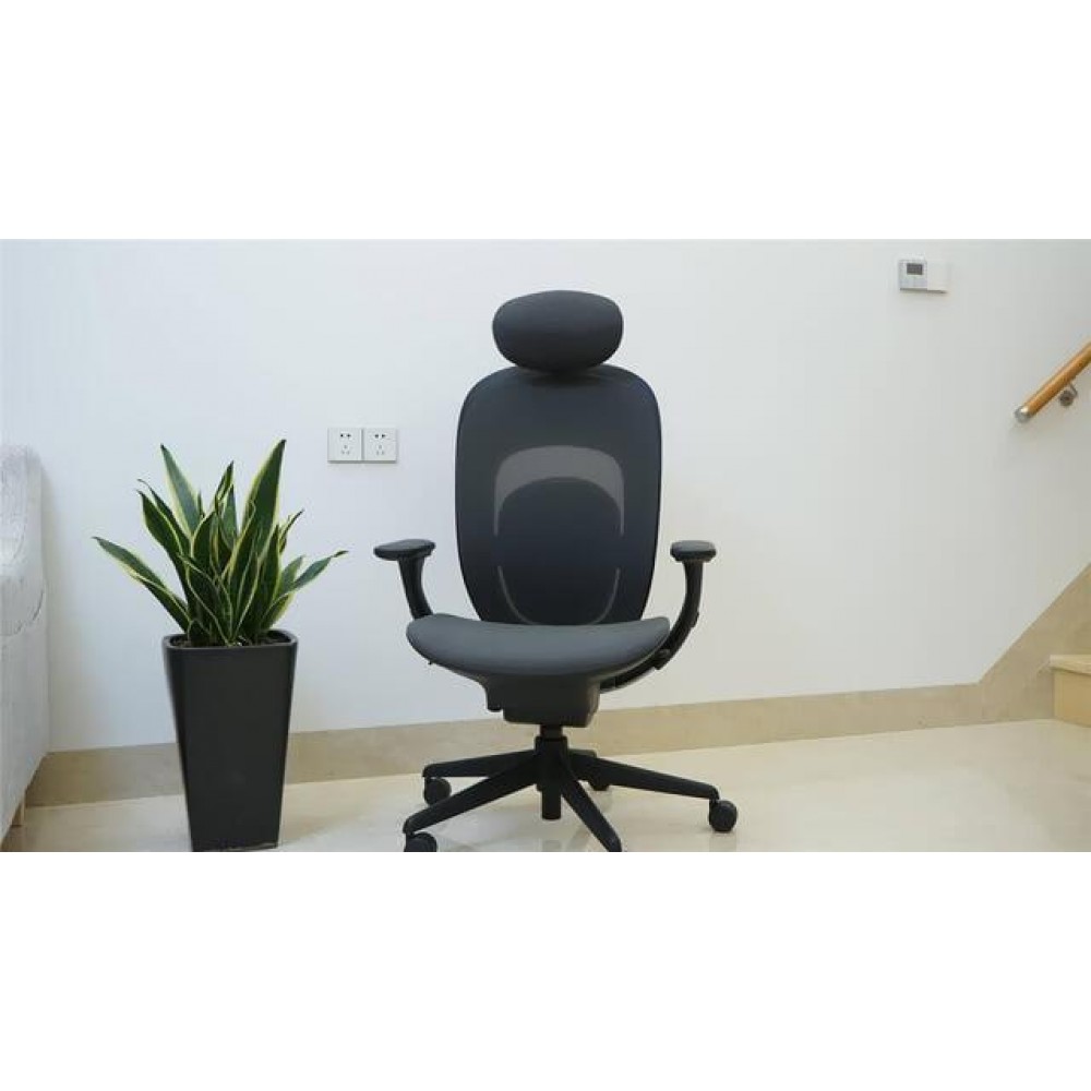 Офисное кресло Xiaomi Yuemi YMI Ergonomic Chair Black (RTGXY01YM)